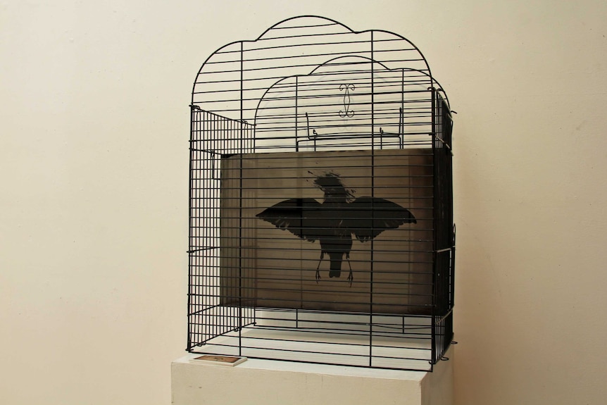 Dark image of a bird with its wings spread out inside a metal bird cage