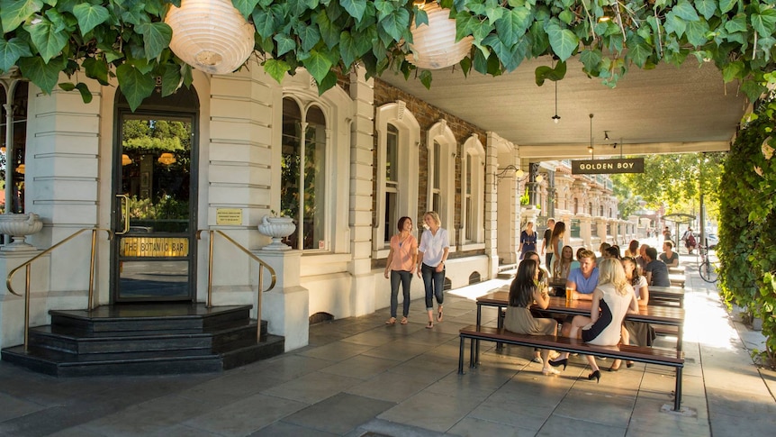 People sitting outside at tables under a veranda with vines on it