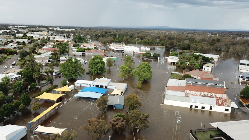 NSW flooding: Forbes examines damage from near-record flooding as towns in central NSW brace for flooding