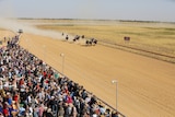 Horses racing on dusty track