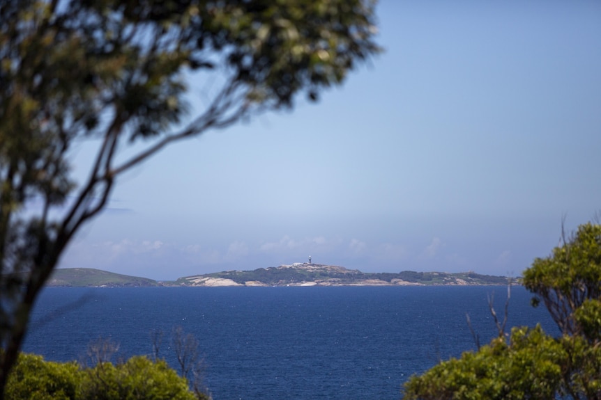 A view of a small island from afar, peaking through some trees