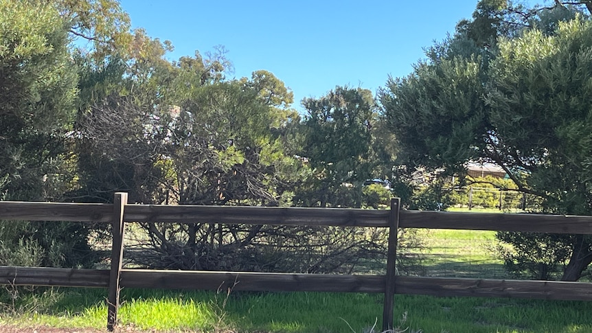 The fence of a rural property
