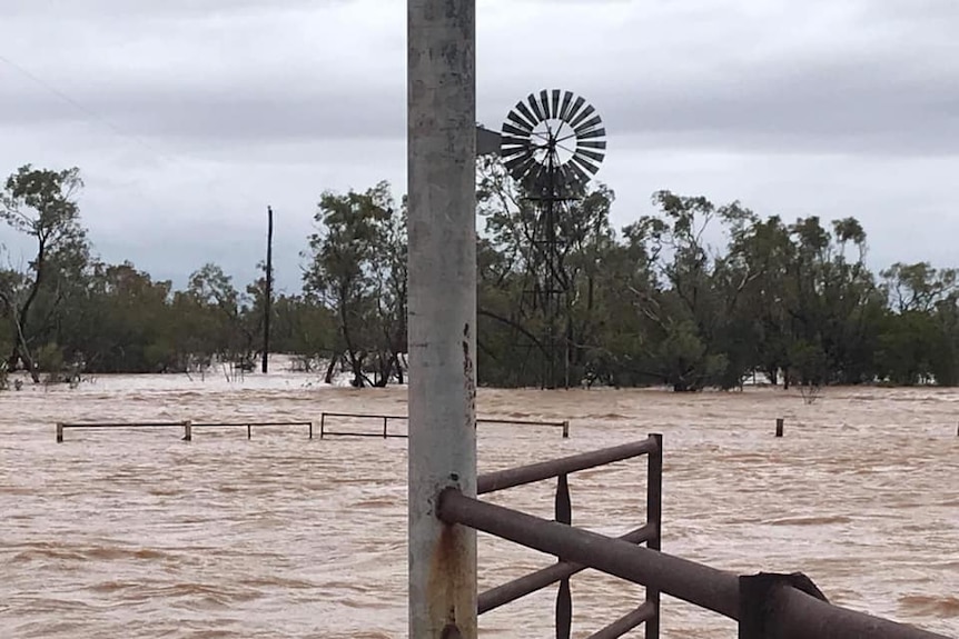 Brown floodwaters with trees and a windmill in the background and a pole and fence in the foreground.