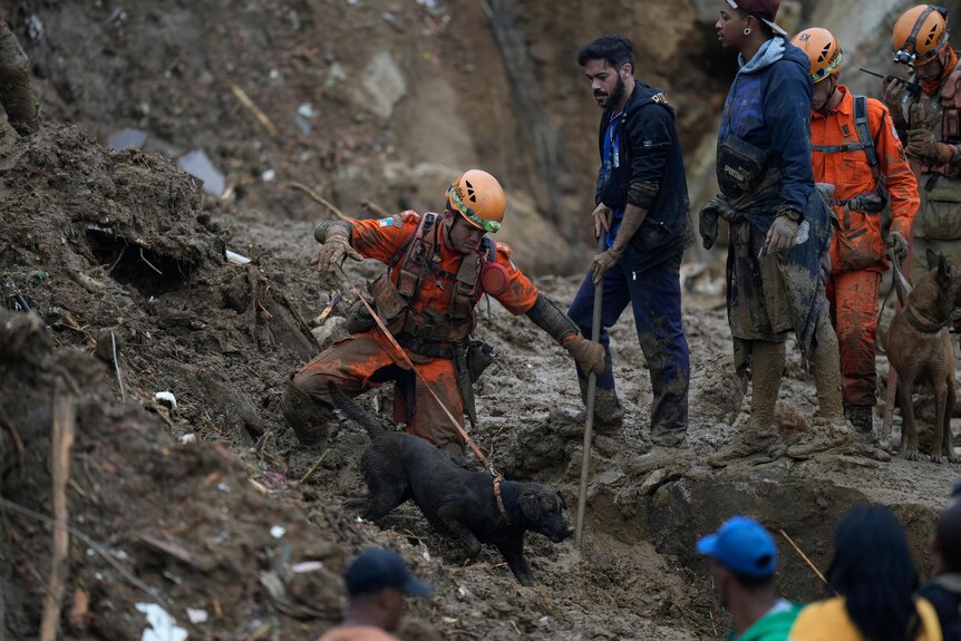 Rescue workers using a sniffer dog look for victims in an area affected by landslides in Petropolis.