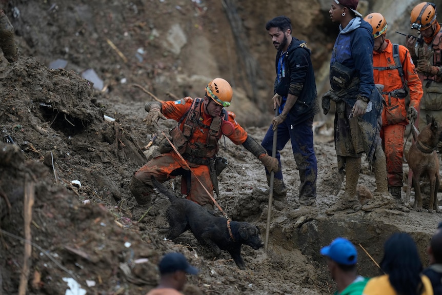 Rescue workers using a sniffer dog look for victims in an area affected by landslides in Petropolis.