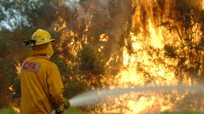 A fireman fights a blaze in Boolarra South in Gippsland