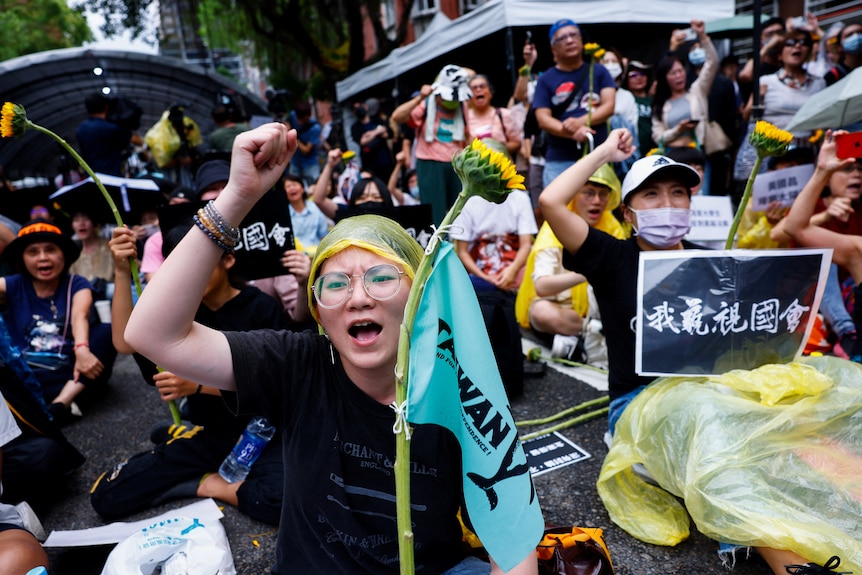 a woman holds a sunflower at a protest