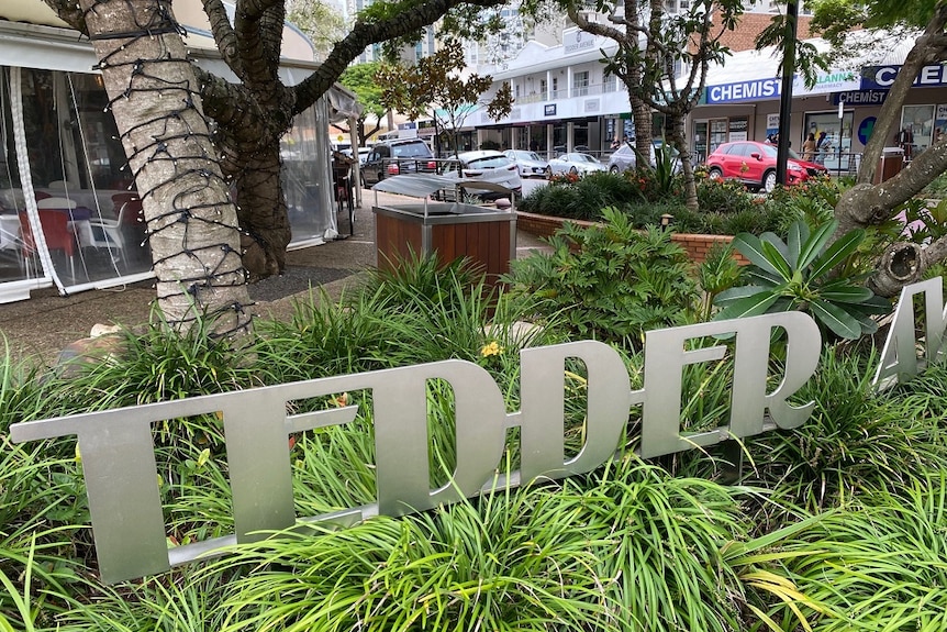 Silver Tedder Avenue sign in a green shrubby garden with street parking in the background