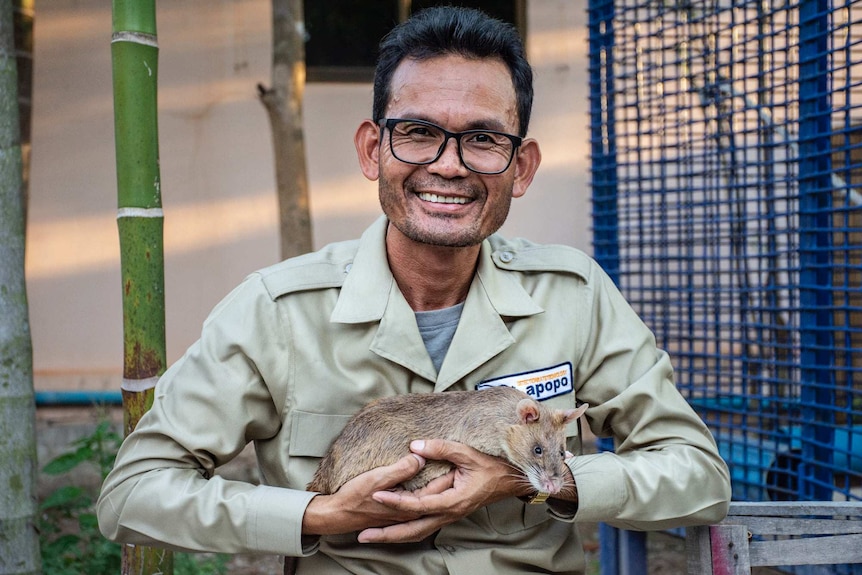 Thoeun Theap with one of the rats he works with, at the APOPO Visitor Center in Siem Reap.