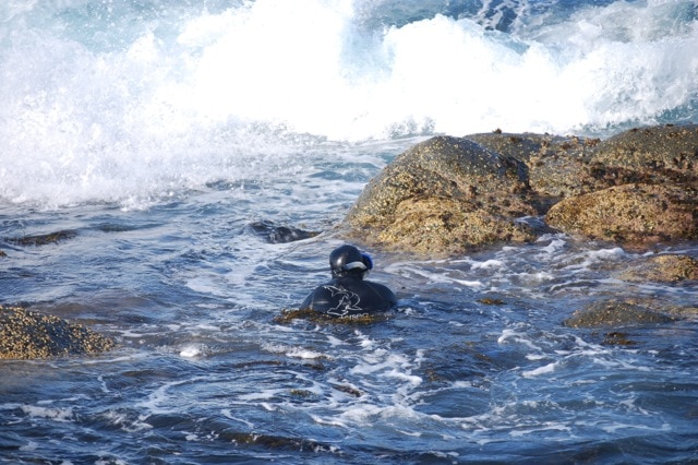 Wayne Carberry dives into the ocean from rocks on the NSW south coast.