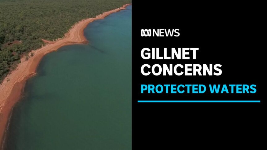 Gillnet Concerns, Protected Waters: Aerial vision of a coastline with red-brown dirt and verdant bush.