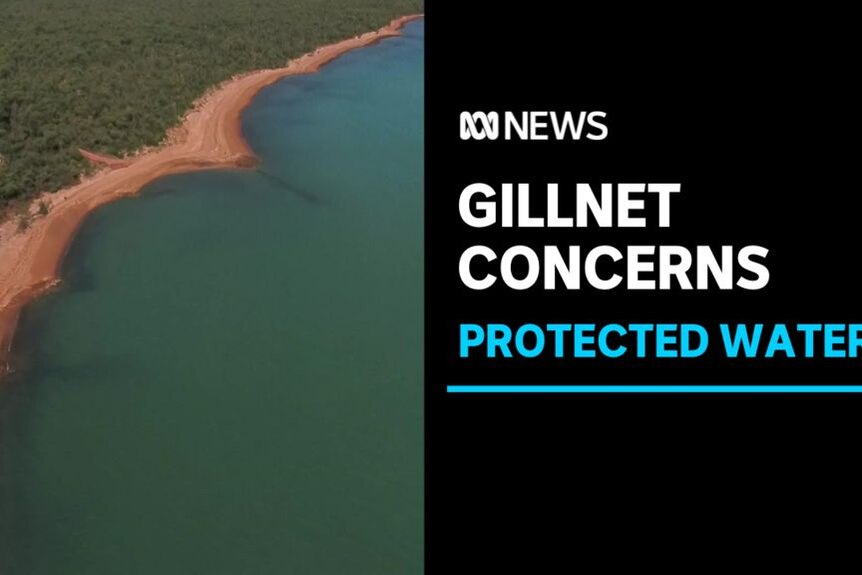 Gillnet Concerns, Protected Waters: Aerial vision of a coastline with red-brown dirt and verdant bush.