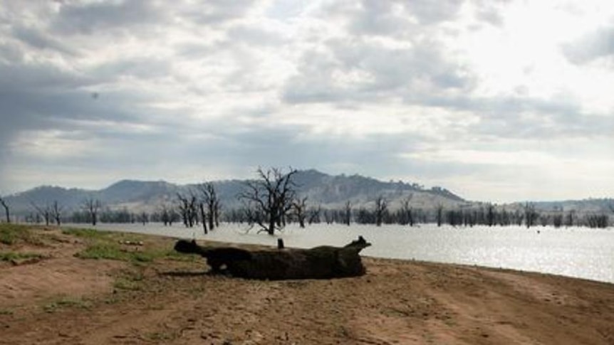 The dry, cracked bed of the Hume Weir