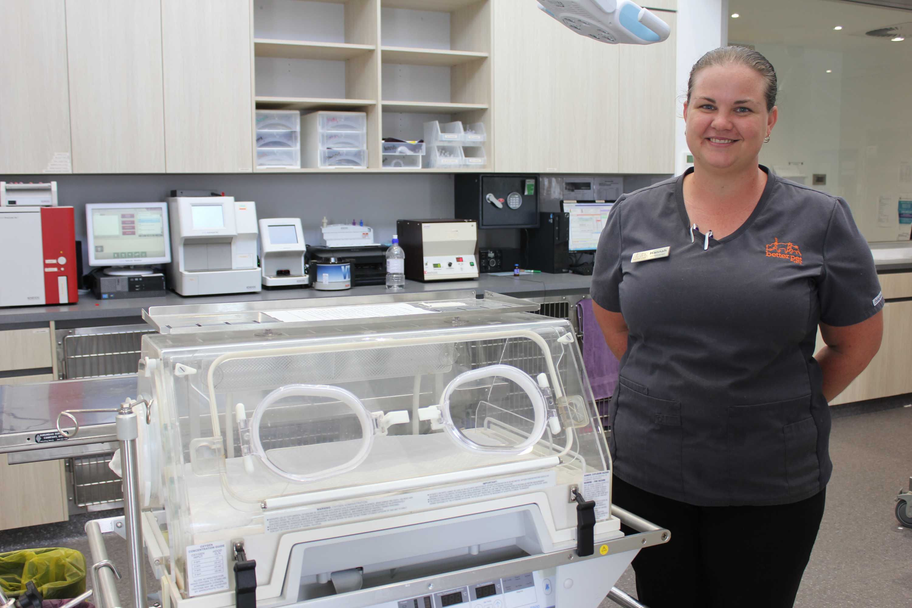 Mackay vet clinic uses humidicrib designed for premature babies for its