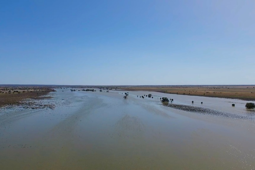 A paddock south of Tilpa turned into a river