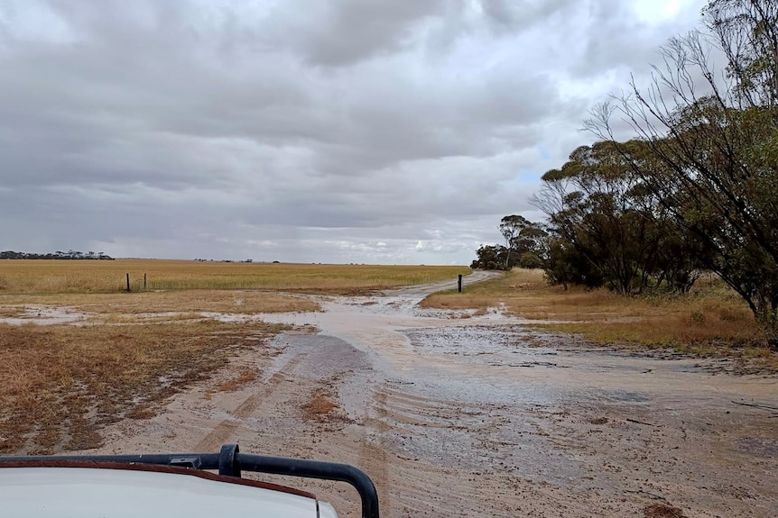 The front of a four-wheel drive looking out over a wet and muddy paddock.