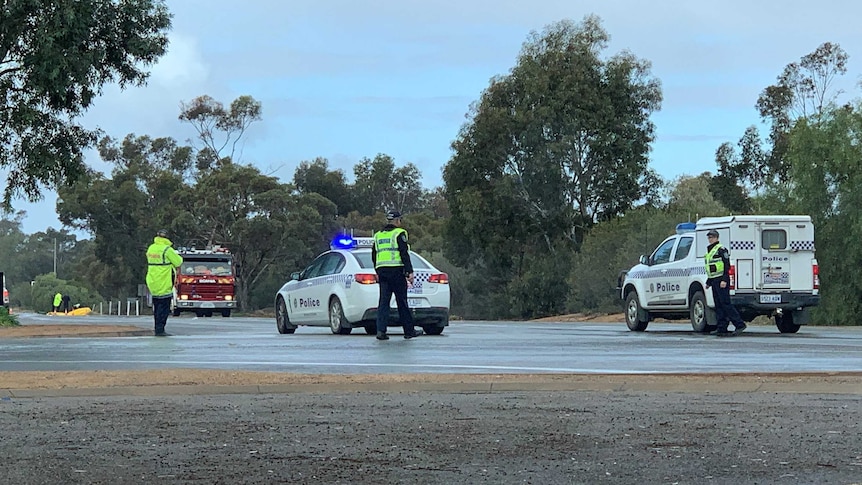 Police cars and a fire engine on a wet country road