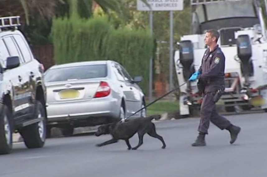 Merrylands police raid