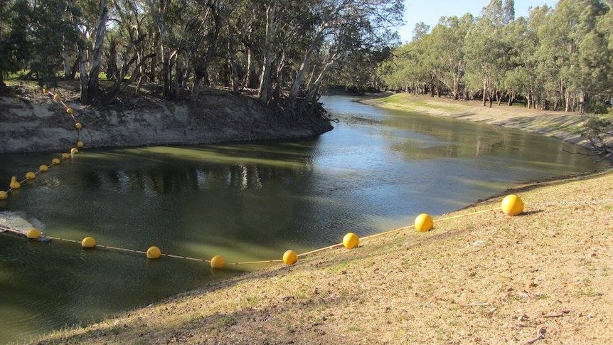 The Darling River at Pooncarie in August 2016.