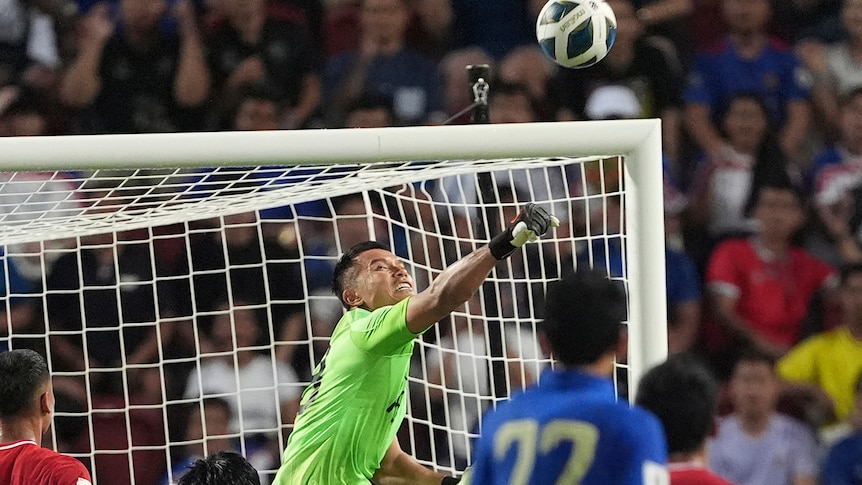 A soccer goalkeeper reaching out to the ball. 