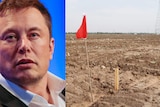 A composite image of Elon Musk and the site of his Gigafactory in Shanghai, China.