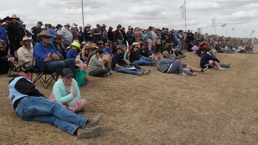 A large crowd with some people sitting and others sitting on the ground at the Deniliquin ute muster