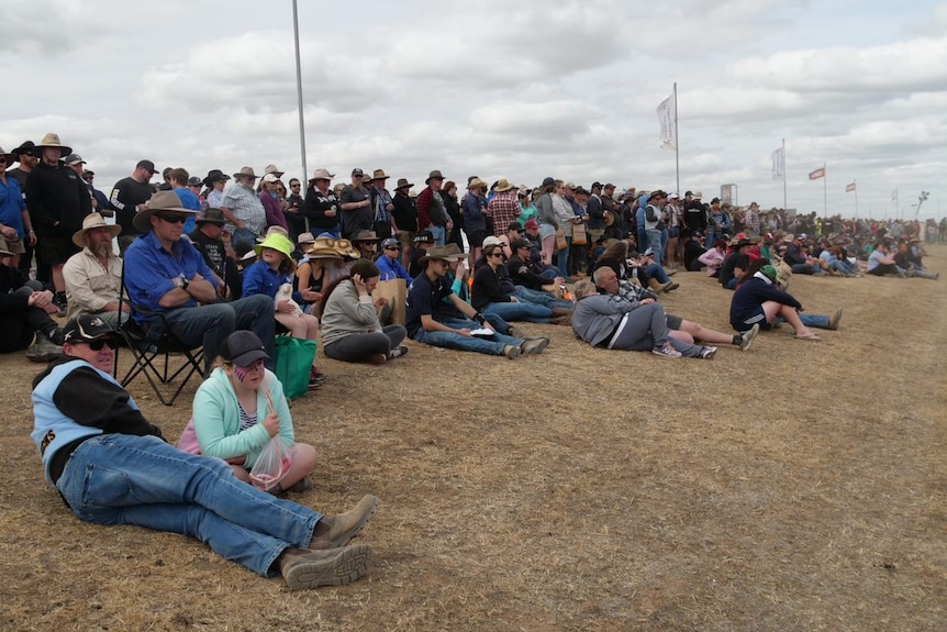 A large crowd with some people sitting and others sitting on the ground at the Deniliquin ute muster