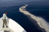 The oil spill from the West Atlas oil rig which has been leaking from a well for nearly 10 weeks.