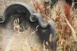 An old gravestone in long dry grass.