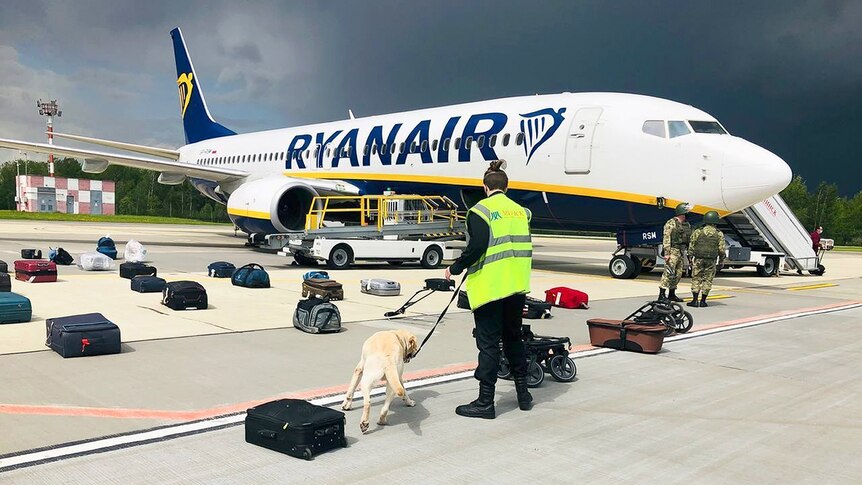 A security guard uses a sniffer dog to check the luggage of passengers next to a Ryanair plane