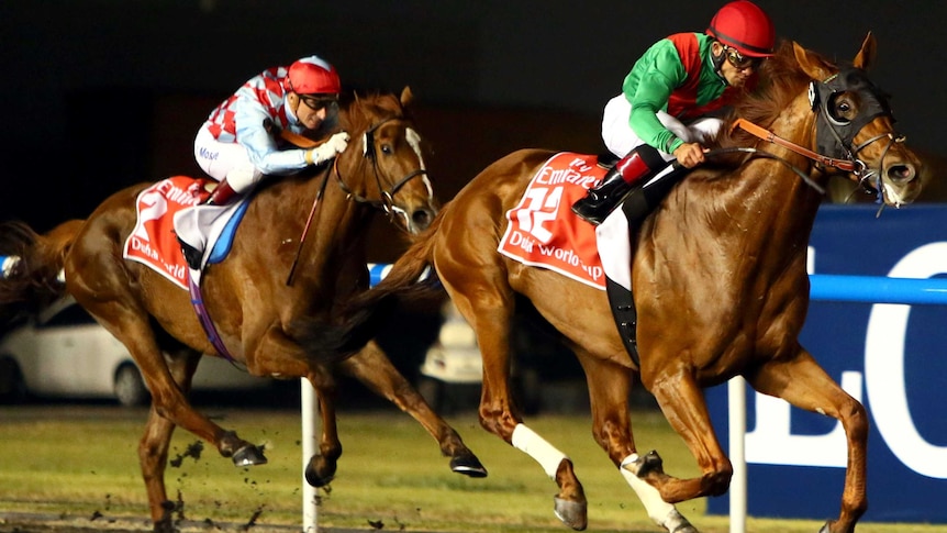 Animal Kingdom wins Dubai World Cup