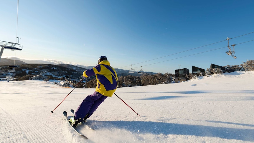 A person in yellow and purple snow gear skiing down a snow-covered mountain.