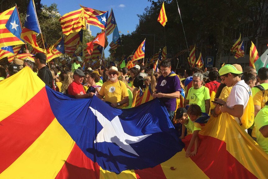 A flag is stretched out in front of a crowd of people in the same colours