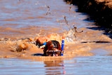 Bog-snorkelling at the Dirt and Dust Festival.