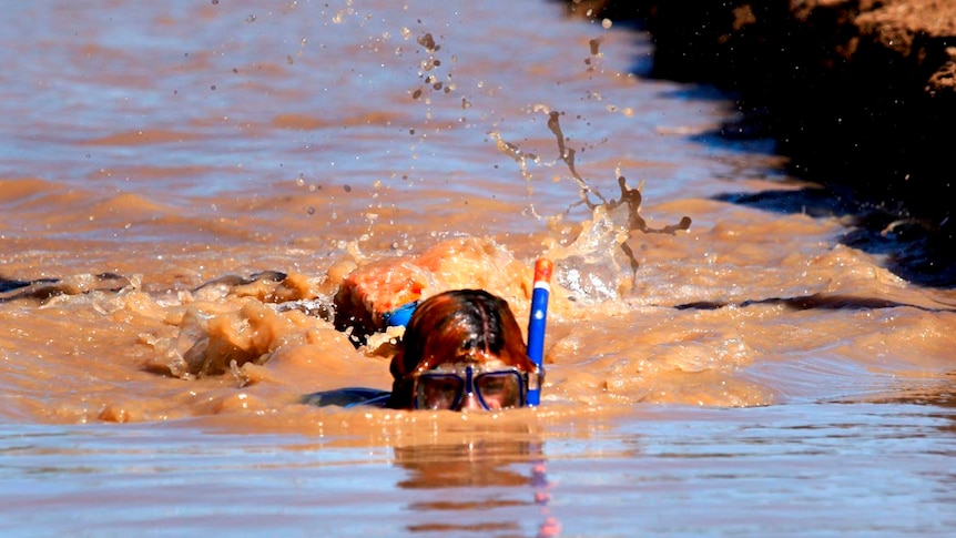 Bog-snorkelling at the Dirt and Dust Festival.