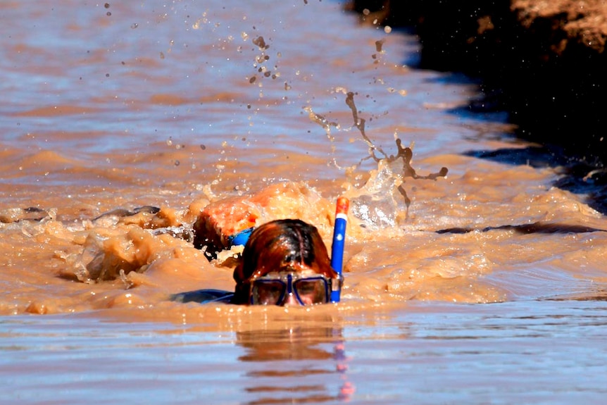 Bog-snorkelling at the Dirt and Dust Festival.