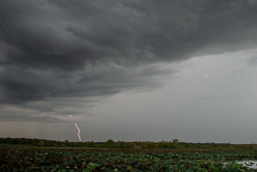 A single bolt of lightning hits the ground. 