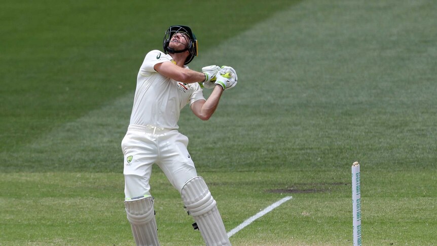 Australia batsman Tim Paine looks up as he completes an ugly stroke at the Adelaide Oval.