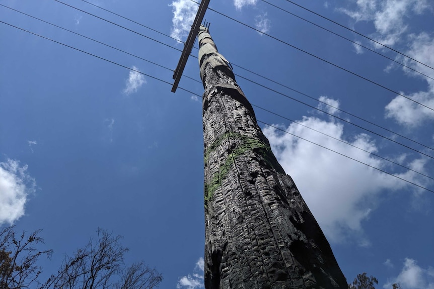 A burnt and damaged electricity pole at Cooroibah on the Sunshine Coast.