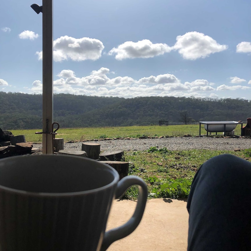 View of paddock and sky with teacup in foreground.