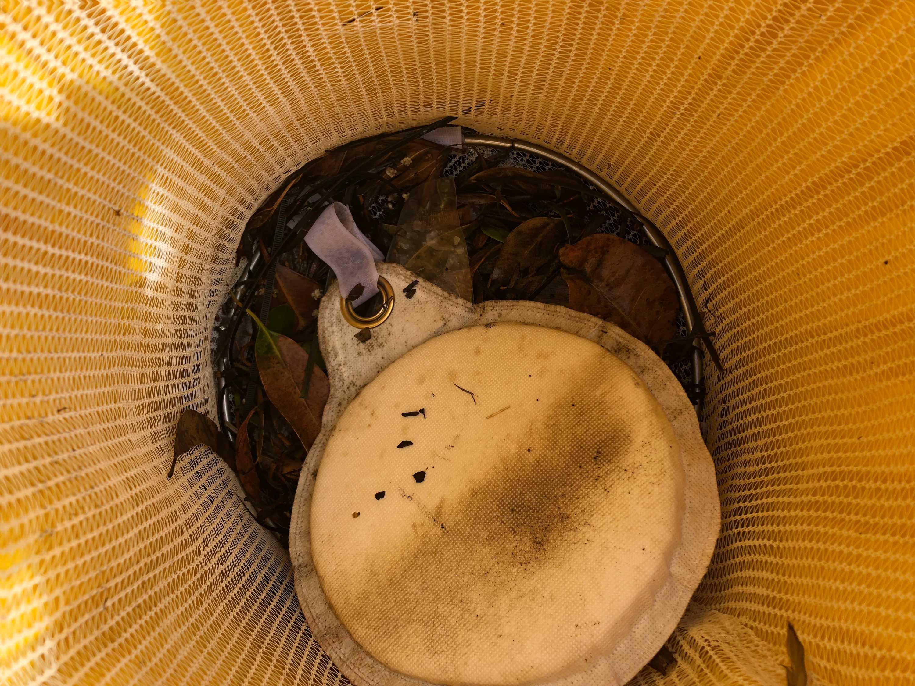 Seabin — 'rubbish bin for the water' — comes to Australia ABC News