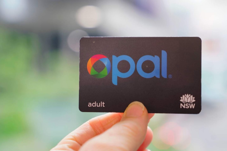 Someone holds up a NSW Opal card.