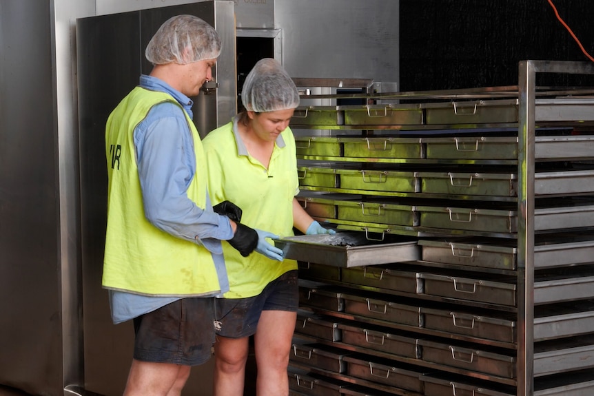 Photo of two people opening an oven.