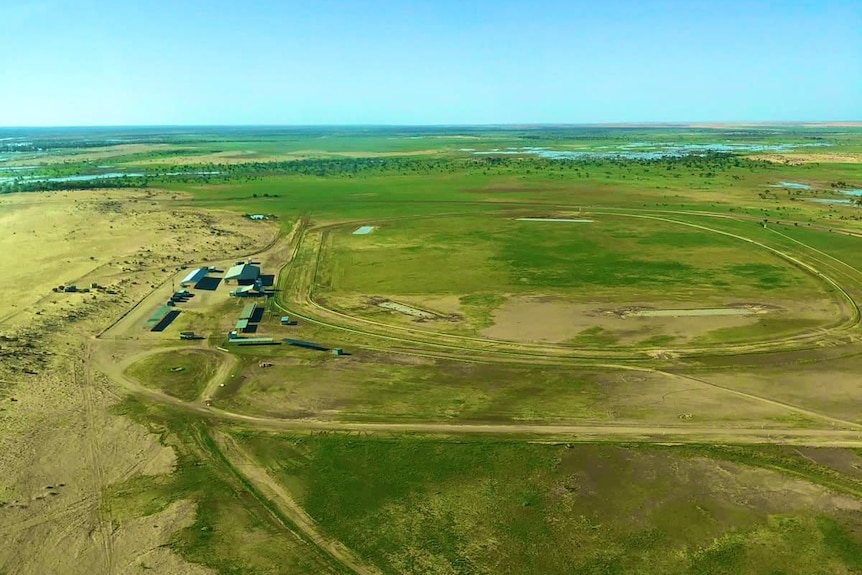 The famous Birdsville Racetrack looking very green