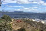 SES crews search the shoreline for missing woman