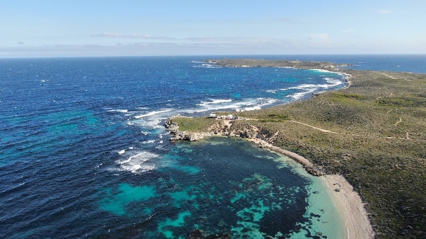 An aerial photograph from a drone, of the coastline at Rottnest Island.