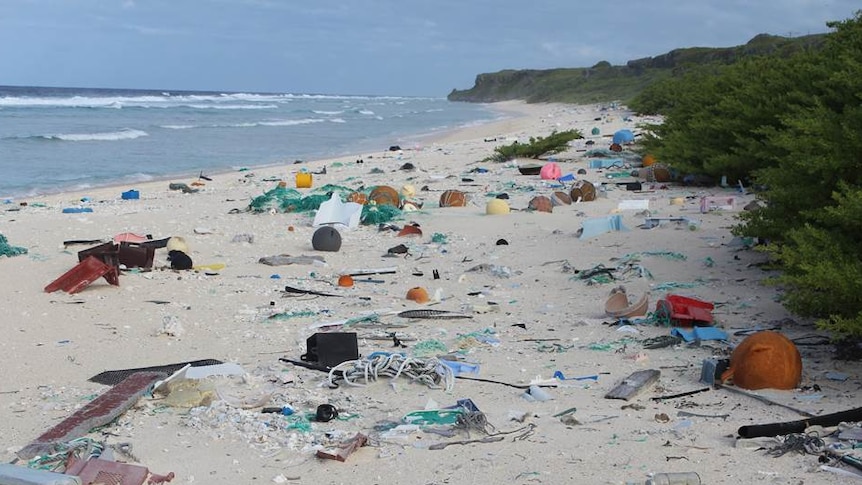 A beach on Henderson Island strewn with rubbish