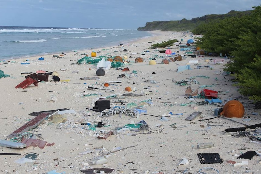 A beach on Henderson Island strewn with rubbish