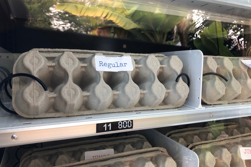 A close up of cartons behind glass in the vending machine.