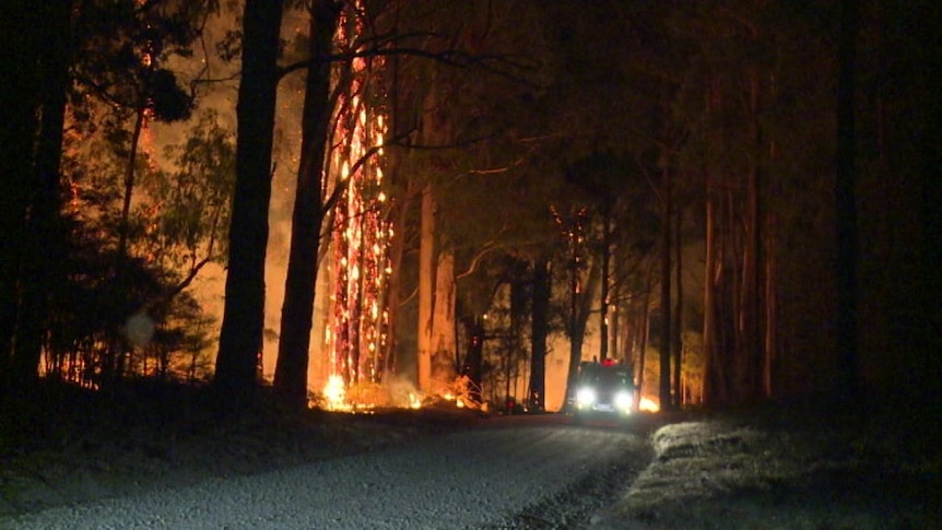 Intense fires burn through eastern Victoria